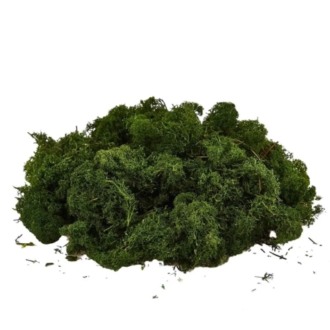 Confezione lichene  scuro 55gr buona qualità