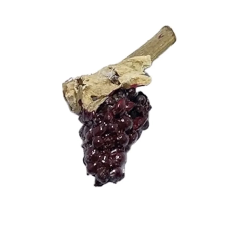 Ceppo di uva nere per pastori da 7 a 15 cm