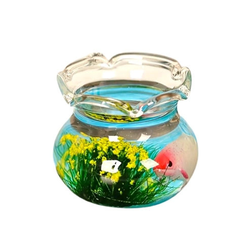 Acquario in miniatura con pesce per pastori da 7 a 15 cm