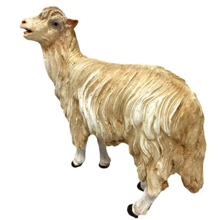 Pecora mentre guarda in terracotta con occhi di vetro