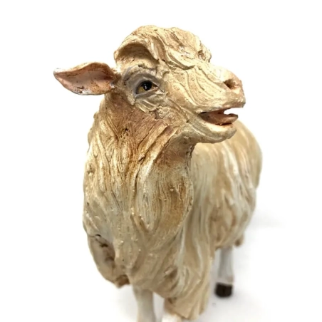 Pecora mentre guarda in terracotta con occhi di vetro