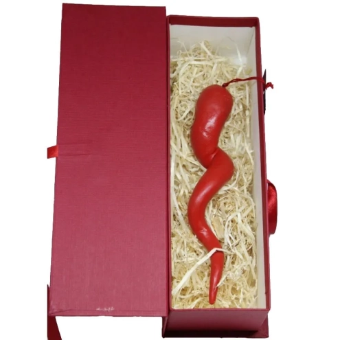 Corno in terracotta 20 cm con scatola regalo