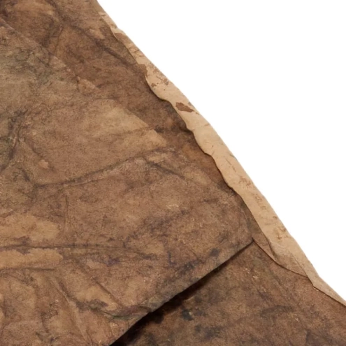 Foglio carta roccia dipinto a mano 100 x 50