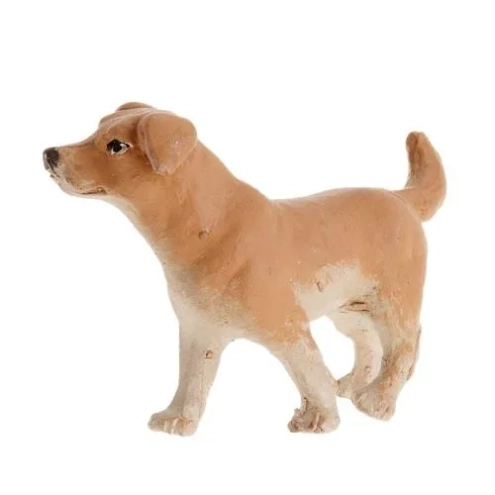 cane per pastori da 12 e 15 cm