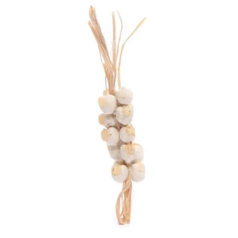 Ceppo di aglio per pastori da 15 e 25 cm
