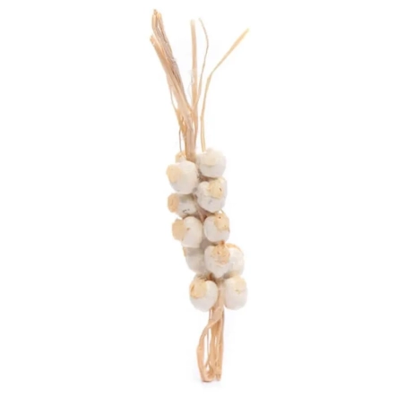 Ceppo di aglio per pastori da 15 e 25 cm