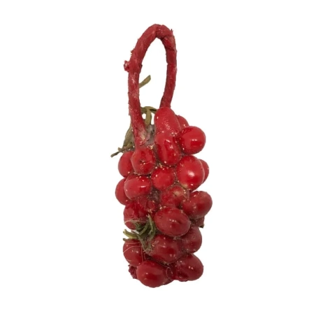 Ceppo pomodori per pastori da 7 a 12 cm